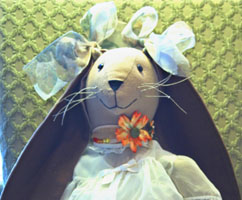 Here is a piture of Buttercup