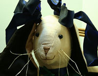 Greenlee the Golf Rabbit