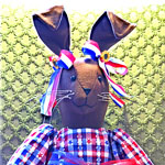 Martha the Welcome Home Rabbit