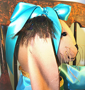 Here is a piture of Rose