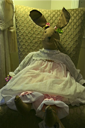 Jackie the Jack Rabbit Here is our fabulous featured rabbit!